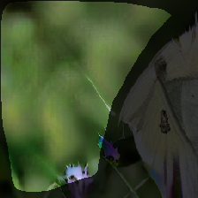 layer2-437