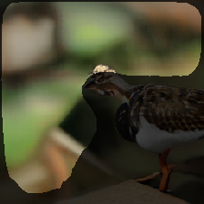 layer2-437