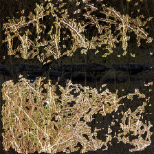layer4-8