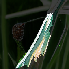 layer3-272
