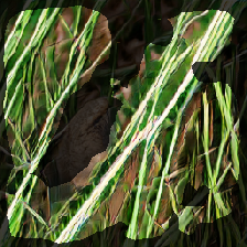 layer2-640