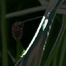 layer3-79
