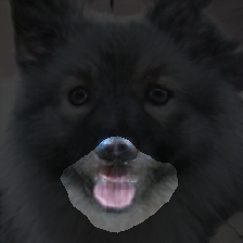 layer2-642
