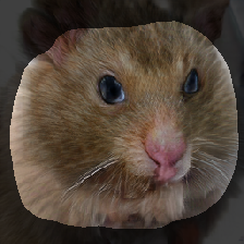 layer1-512