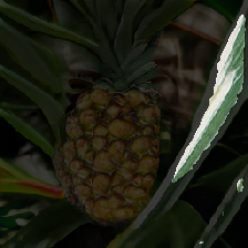 layer3-284