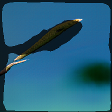 layer2-449