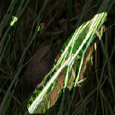 layer2-449