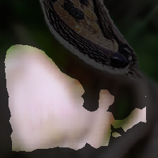 layer2-449