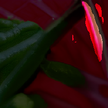 layer2-645
