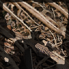 layer2-647