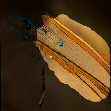 layer2-647