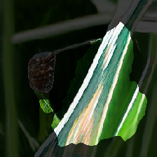layer2-453