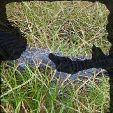 layer2-455