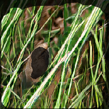 layer2-652