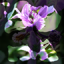 layer2-652