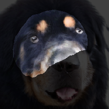 layer2-459
