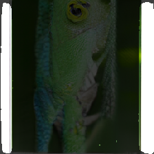 layer3-296