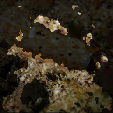 layer3-297