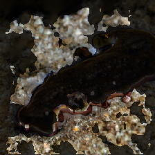layer3-297