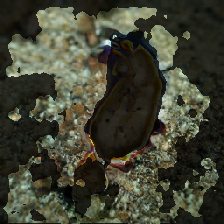 layer3-297