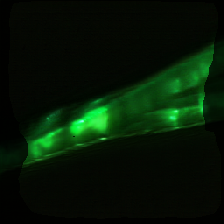 layer2-461