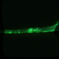 layer2-461