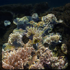 layer2-657
