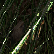 layer3-301