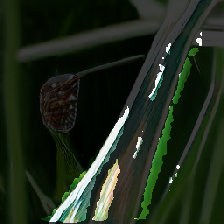 layer3-301