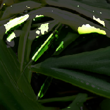 layer3-301