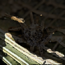 layer2-658
