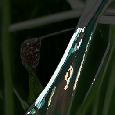 layer4-150