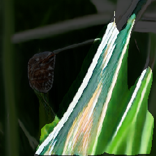 layer2-473