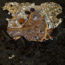 layer2-668