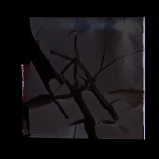 layer3-109
