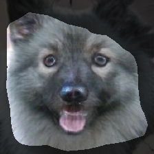 layer0-1448