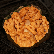 layer2-669