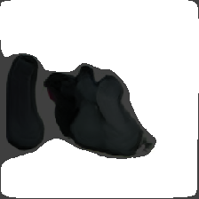 layer3-313