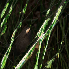 layer3-113