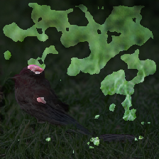 layer3-314