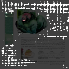 layer4-155