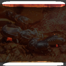 layer2-154