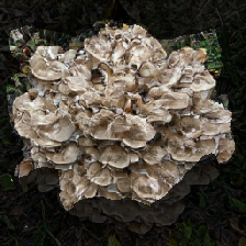 layer2-673