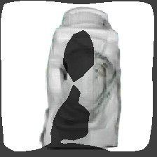layer1-131