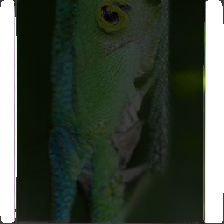 layer4-159