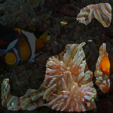layer2-483
