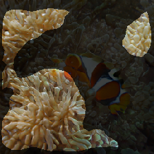 layer2-483
