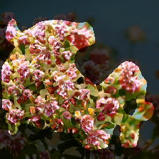 layer2-483