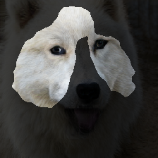 layer2-681