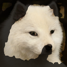 layer2-681